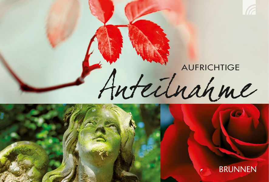 Cover von Aufrichtige Anteilnahme