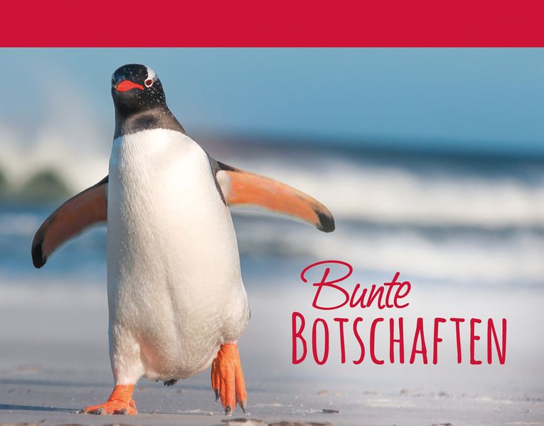 Cover von Bunte Botschaften 4