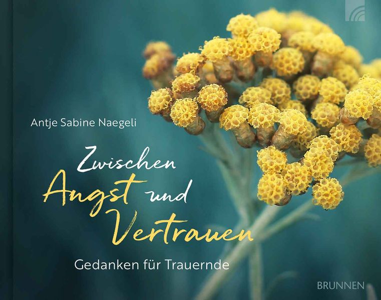 Cover von Zwischen Angst und Vertrauen