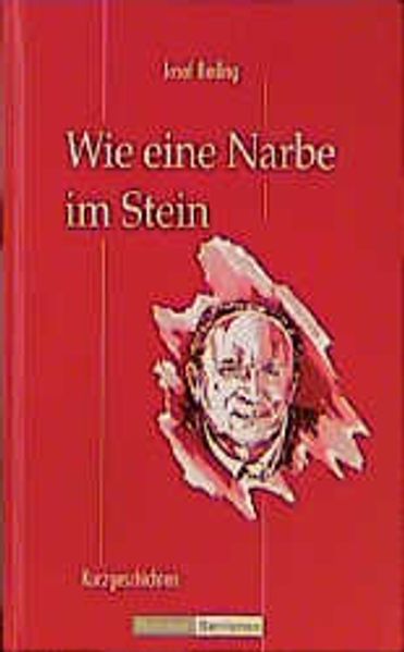 Cover von Wie eine Narbe im Stein