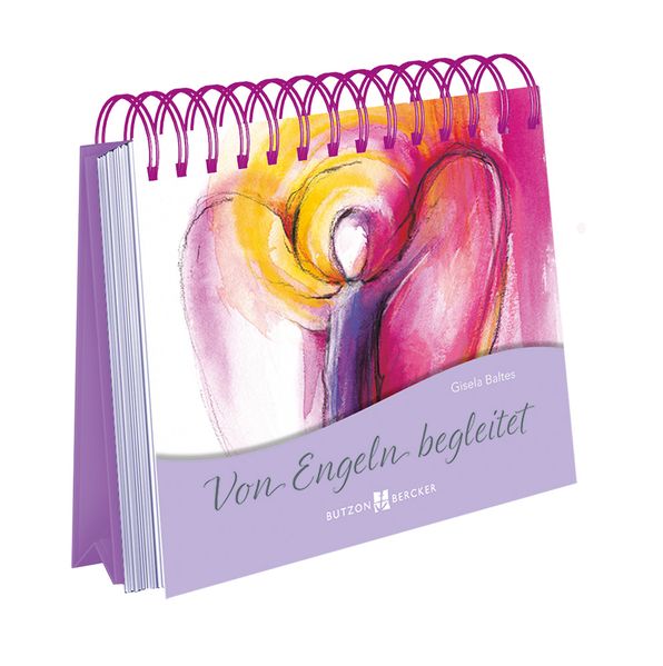 Cover von Von Engeln begleitet