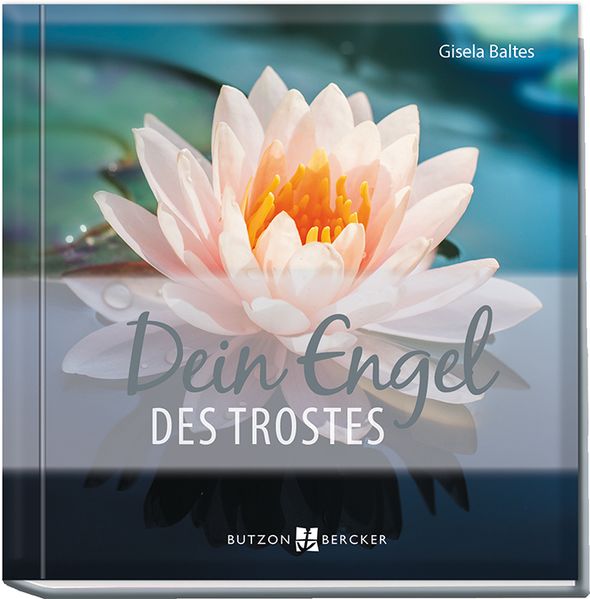 Cover von Dein Engel des Trostes