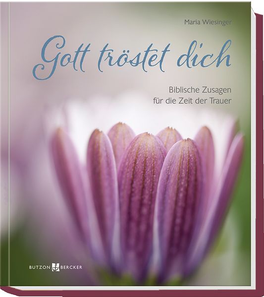 Cover von Gott tröstet dich