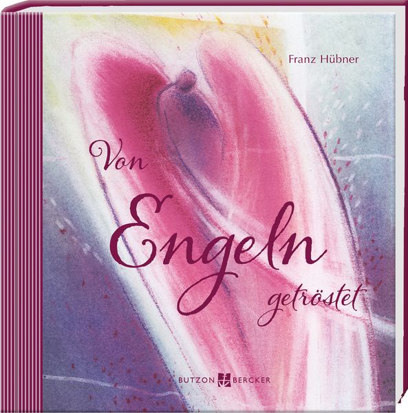 Cover von Von Engeln getröstet