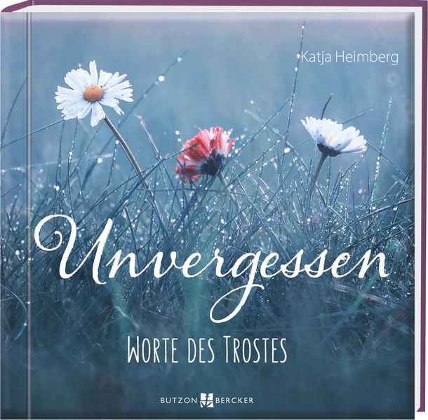 Cover von Unvergessen
