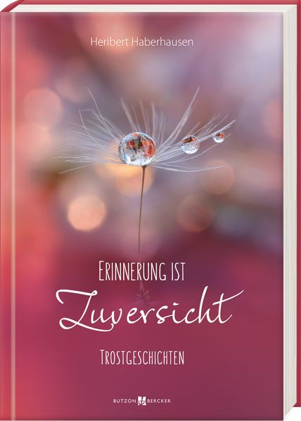 Cover von Erinnerung ist Zuversicht