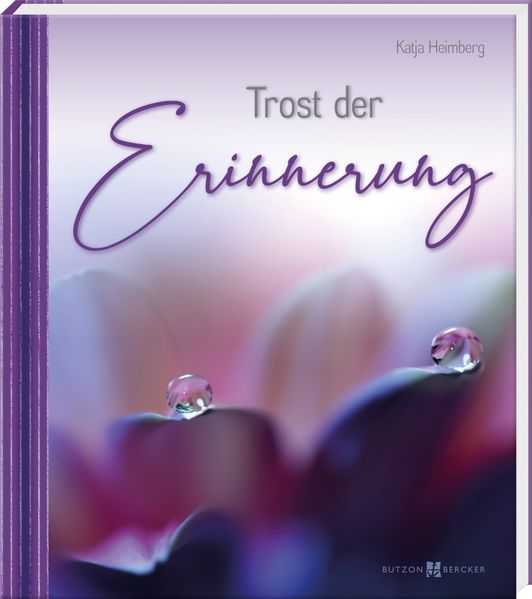 Cover von Trost der Erinnerung