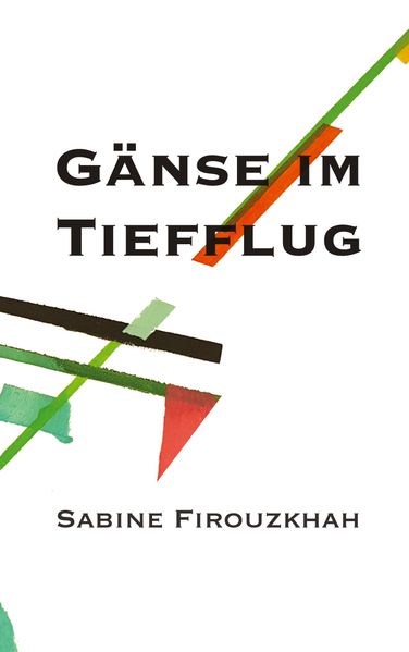 Cover von Gänse im Tiefflug