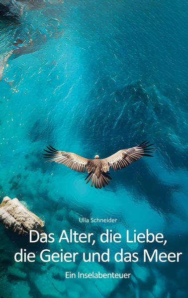 Cover von Das Alter, die Liebe, die Geier und das Meer