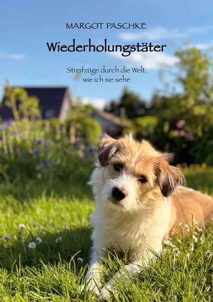 Cover von Wiederholungstäter