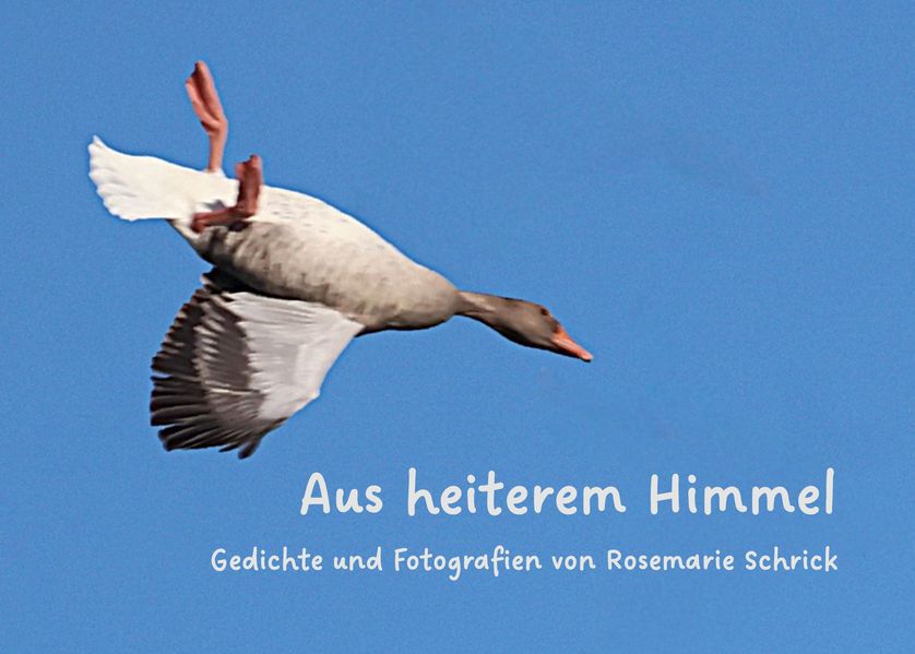 Cover von Aus heiterem Himmel