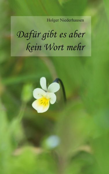 Cover von Dafür gibt es aber kein Wort mehr