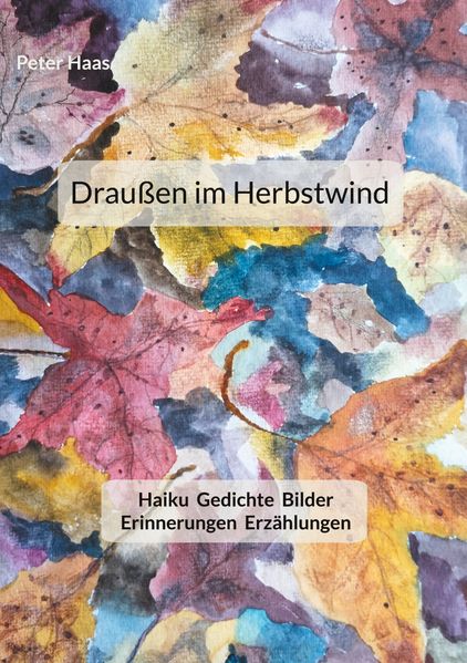 Cover von Draußen im Herbstwind