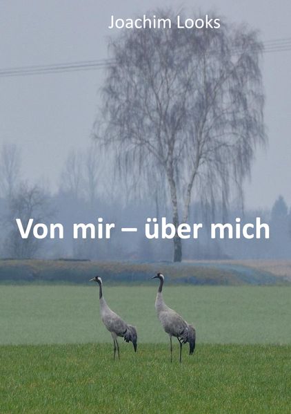 Cover von Von mir – über mich