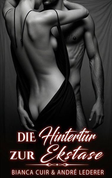 Cover von Die Hintertür zur Ekstase