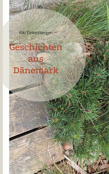 Cover von Geschichten aus Dänemark