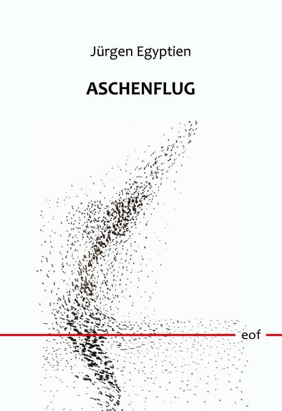 Cover von Aschenflug