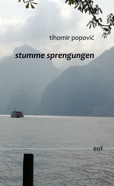 Cover von stumme sprengungen