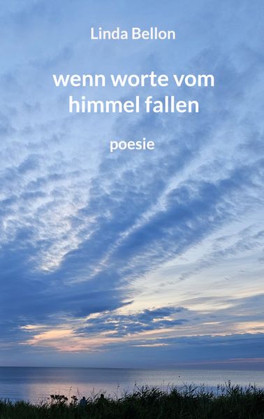 Cover von wenn worte vom himmel fallen
