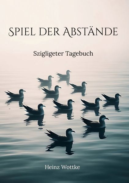 Cover von Spiel der Abstände