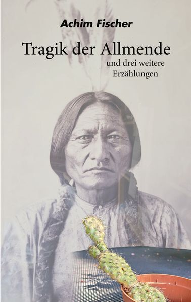 Cover von Tragik der Allmende