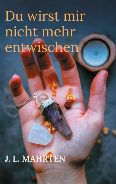 Cover von Du wirst mir nicht mehr entwischen