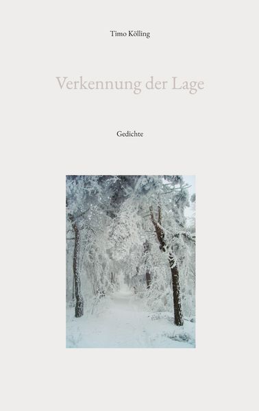Cover von Verkennung der Lage