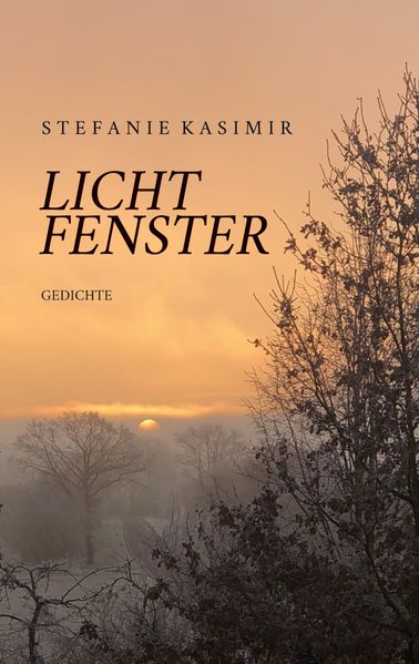 Cover von Lichtfenster