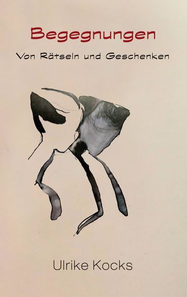 Cover von Begegnungen – Von Rätseln und Geschenken