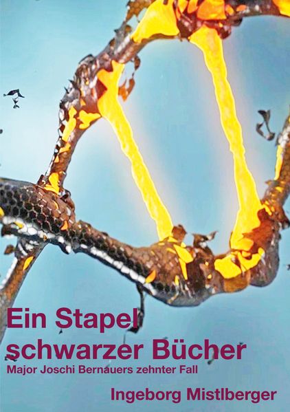 Cover von Ein Stapel schwarzer Bücher