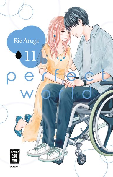 Cover von Perfect World 11