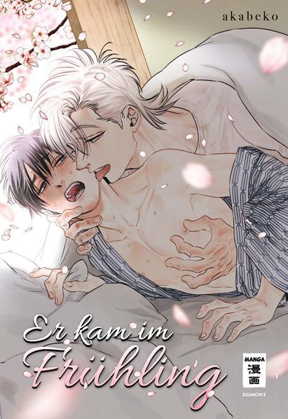 Cover von Er kam im Frühling