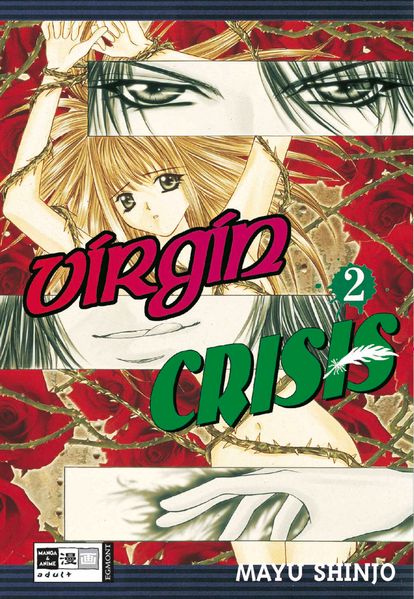 Cover von Virgin Crisis 02
