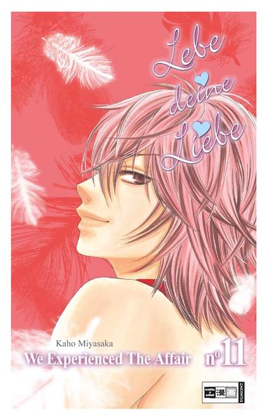 Cover von Lebe deine Liebe 11