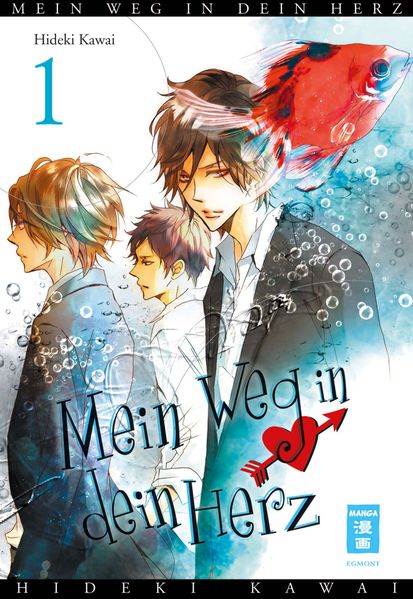 Cover von Mein Weg in dein Herz 01