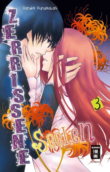 Cover von Zerrissene Seelen 03