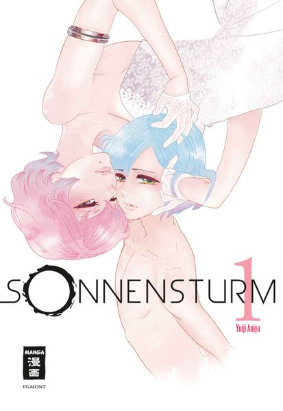 Cover von Sonnensturm 01