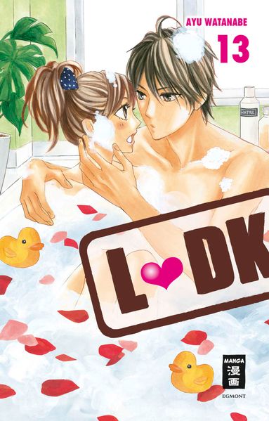 Cover von L-DK 13