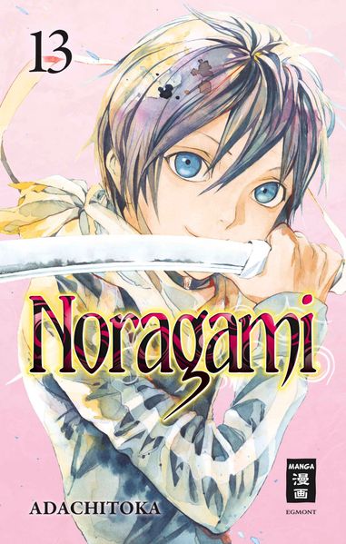 Cover von Noragami 13