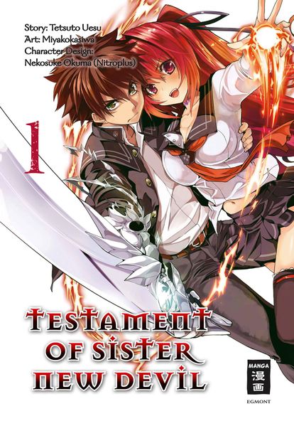 Cover von Testament of Sister New Devil 01
