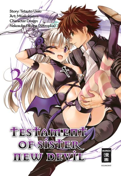 Cover von Testament of Sister New Devil 03