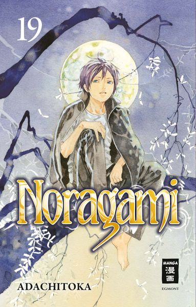 Cover von Noragami 19