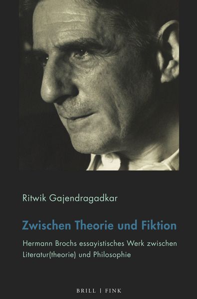 Cover von Zwischen Theorie und Fiktion
