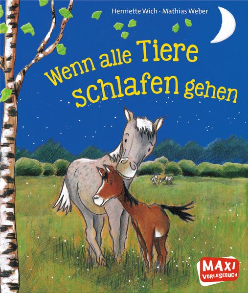 Cover von Wenn alle Tiere schlafen gehen