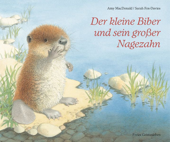 Cover von Der kleine Biber und sein großer Nagezahn
