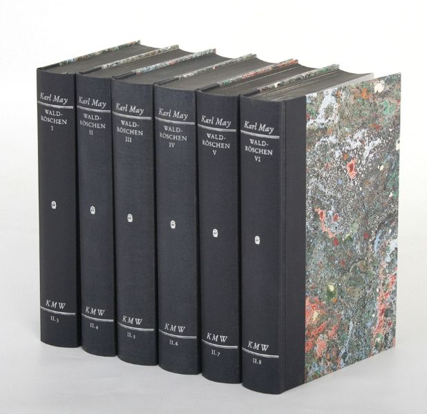 Cover von Karl Mays Werke: Historisch-Kritische Ausgabe für die Karl-May-Stiftung / Abteilung II: Fortsetzungsromane / Waldröschen I