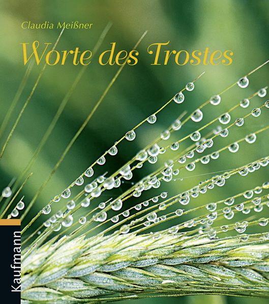 Cover von Worte des Trostes