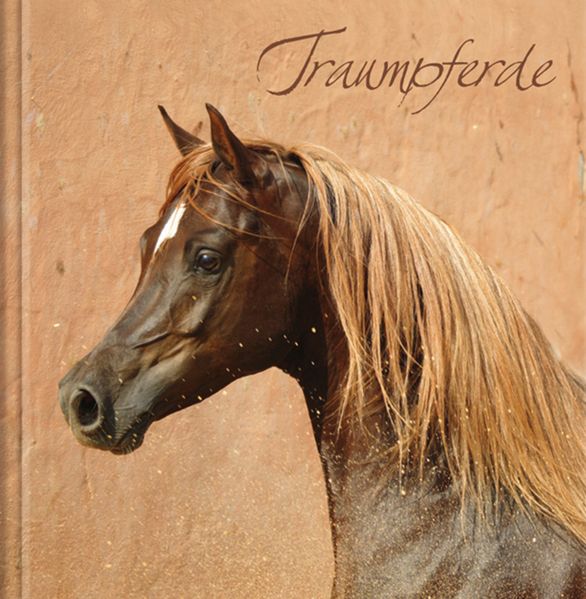 Cover von Traumpferde