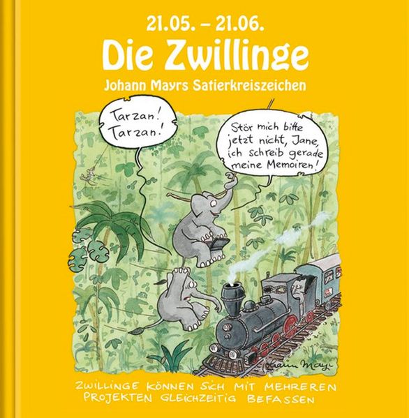 Cover von Die Zwillinge