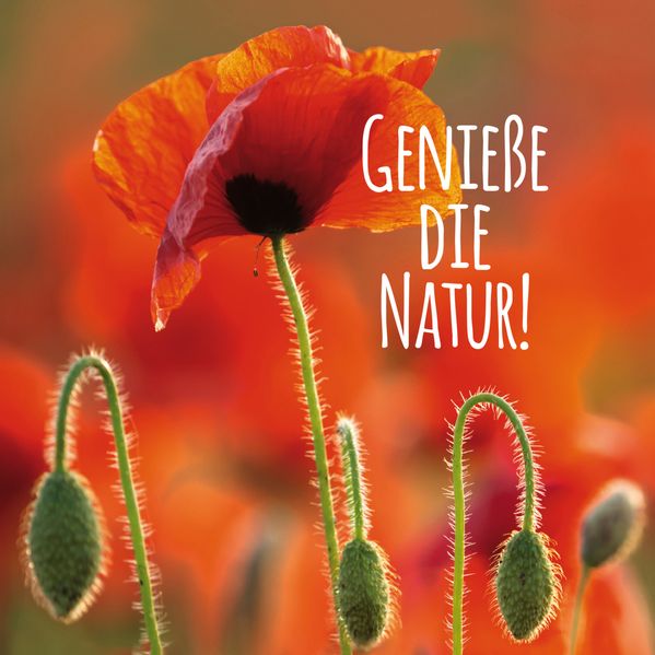 Cover von Genieße die Natur!